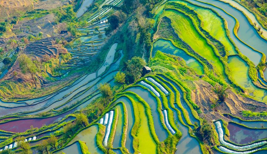 宝妈必备神器：蒙山县产品视频拍摄轻松育儿好帮手
